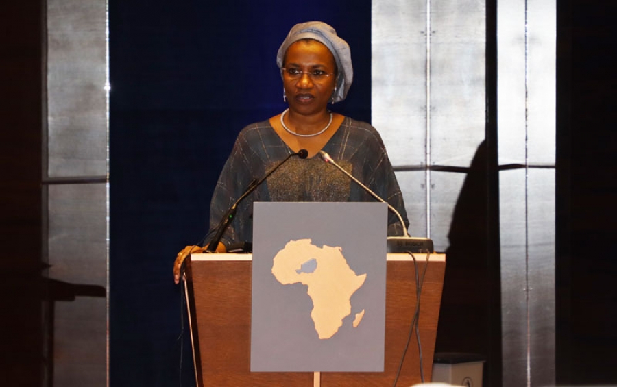 Panel de haut niveau sur l’industrialisation dans le cadre de la ZLECAF : Quelles opportunités pour l’Afrique ?