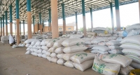 Sur les marchés agricoles : Légère hausse des prix des céréales locales, stabilité de ceux des céréales importées