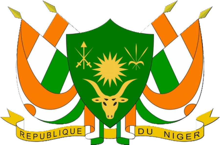 Nouvelle ordonnance au Niger : Création d&#039;un fichier national pour les actes terroristes